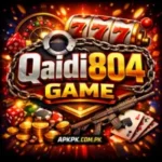 Qaidi804 Game