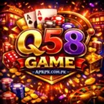 Q58 Game