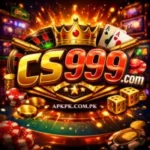 CS999 Game