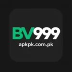 BV999 Game