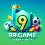 B9 Game