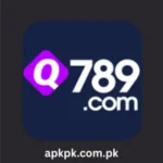 Q789 Game